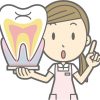 歯周病の症状をチェック。セルフケアとプロケアで歯周病を予防する方法とは？